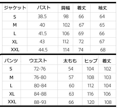 【新作セール】レディーススキーウェア スノボウェア 上下セット 韓国風 スノーボ...
