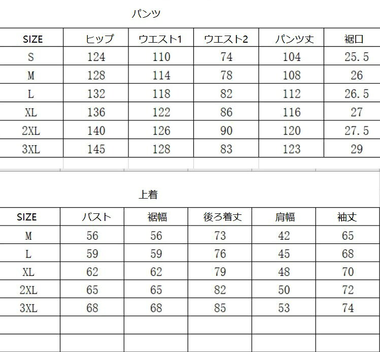【送料無料】スノボ ウェア スキーウェア レディース スノーウェア 2点セット ジャ...