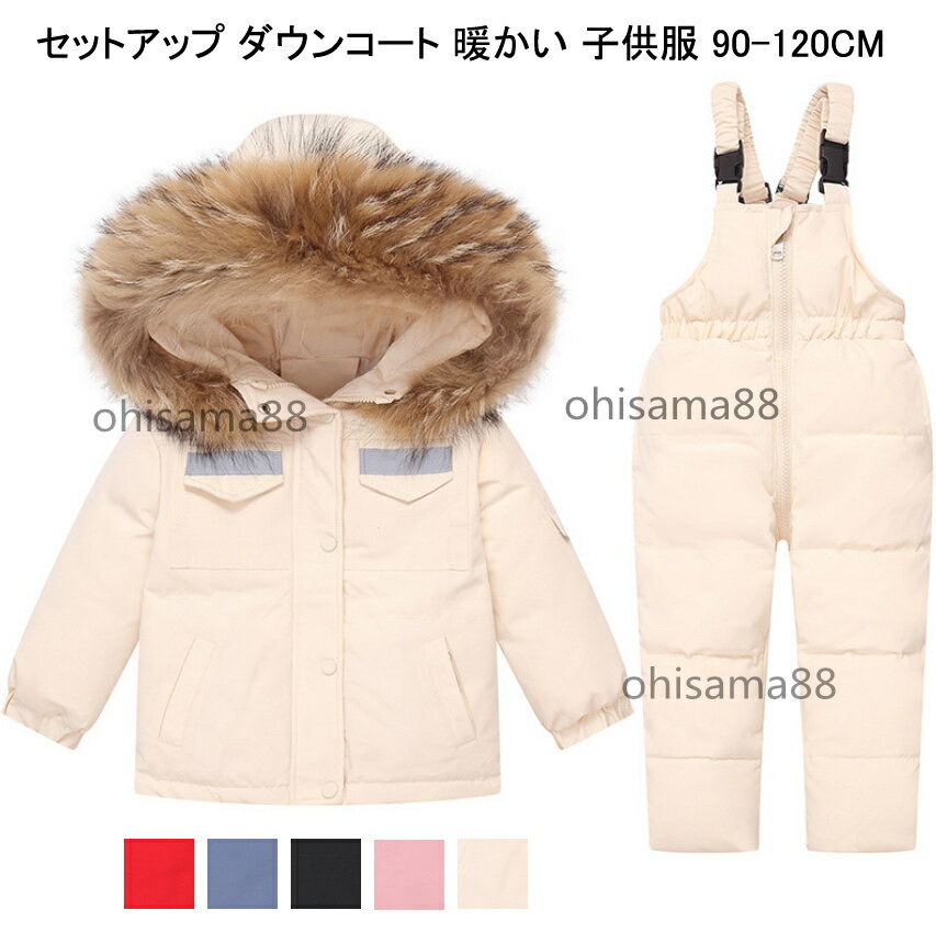 ���̲ܶ��� ����¡ۻҶ������󥳡��� �̳� �̱� �岼���å� �Ҷ��� �����󥳡��� �٥ӡ��� ���ʥ����� ���� �ݲ� �ɴ��� 2�����å� ���å������� ������...