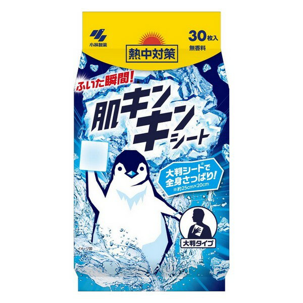 《小林製薬》 熱中対策 肌キンキンシート 30枚