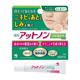 《小林製薬》 アットノン ニキビあとケアジェル 10g 【医薬部外品】