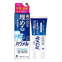 《小林製薬》 ハウメル 100g 【医薬部外品】