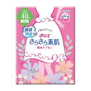 《日本製紙クレシア》 ポイズ さらさら素肌 吸水ナプキン 安心の少量用 22枚