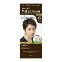 【マンダム】ルシード ワンプッシュケアカラー ダークブラウン《医薬部外品》