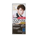 【医薬部外品】《ダリヤ》 サロンドプロ ワンプッシュメンズカラー(白髪用) 6A 深みのあるアッシュブラウン