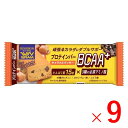 《ブルボン》 プロテインバー BCAA+キャラメルクッキー 40g×9本 （栄養調整食品）