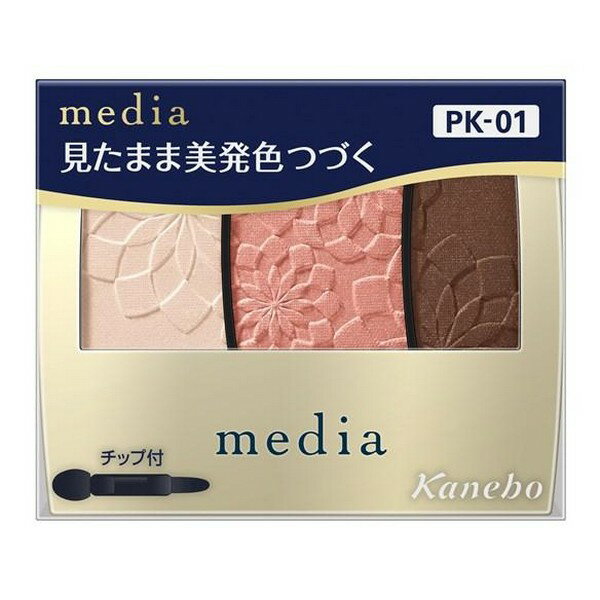 《カネボウ》 メディア グラデカラーアイシャドウN PK-01 3.1g ★定形外郵便★追跡・保証なし★代引き不可★