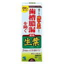 【医薬部外品】《小林製薬》 生葉b お試しサイズ 40g (歯槽膿漏予防薬用歯みがき)