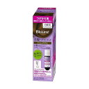 《花王》 ブローネ ヘアマニキュア アッシュブラウン つけかえ用 72g (白髪用ヘアマニキュア) 返品キャンセル不可