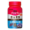 《UHA味覚糖》 グミサプリ 鉄＆葉酸 60粒 30日分