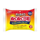 《興和》 ホッカイロ ぬくぬく日和 貼らないタイプ レギュラー 10個入り