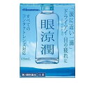 【第3類医薬品】《久光製薬》 眼涼潤 13mL ★定形外郵便★追跡・保証なし★代引き不可★