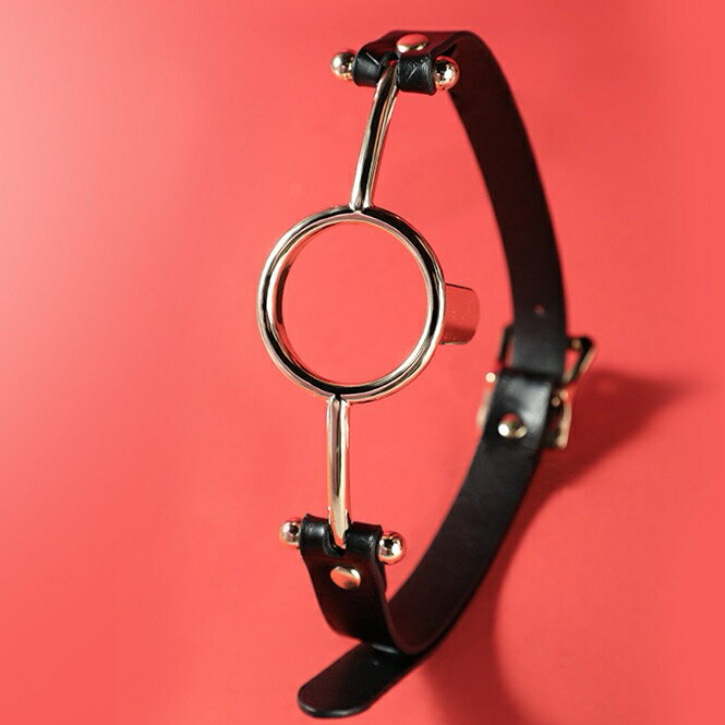 チョーカーチェーン口プラグ チョーカー 首輪 ネックレス アクセサリーネックレス 可愛い 大人のプレ ..