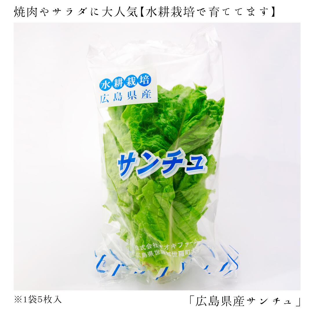 サンチュ 葉物野菜 水耕栽培 広島県世羅町産 産地直送 1袋5枚入り 新鮮 やさい 野菜 生野菜 朝食 お弁当 サラダ 焼肉 食卓の彩 サムギョプサル 韓国料理 BBQ バーベキュー