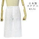 ステテコ 男 メンズ すててこ 日本製 綿 洗える　(M/L/LL) 白 着物 パンツ メンズ着物 洗えるインナー 紳士 インナー 肌着 はだぎ 【メール便可/B】