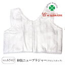 和装ブラジャー 着付小物 胸元のライン作りをサポート (NO,6542) 和装ニューブラジャー 3L フロントホック式 【メール便可/B】 あづま姿 着物 和装...