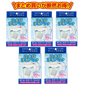 【即日発送(営業日 朝8:00までにご入金確認の場合)】まとめ買いお得 送料無料 冷水筒浄水パック5個セット アルカリイオン水 便利 経済的 画期的 入れるだけ 送料無料 水素水 浄水 長持ち コスパ おいしい まとめ買い お徳用