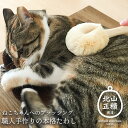 猫用たわし ペット ブラシ ペット用たわし 猫ちゃん ニャンちゃん ねこ ペット ペット用品 ウサギ 小動物 ブラッシング 気持ちいい ブラッシング 短毛 くせ...