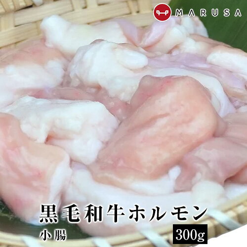 【黒毛和牛】 ホルモン ふわプル 300g