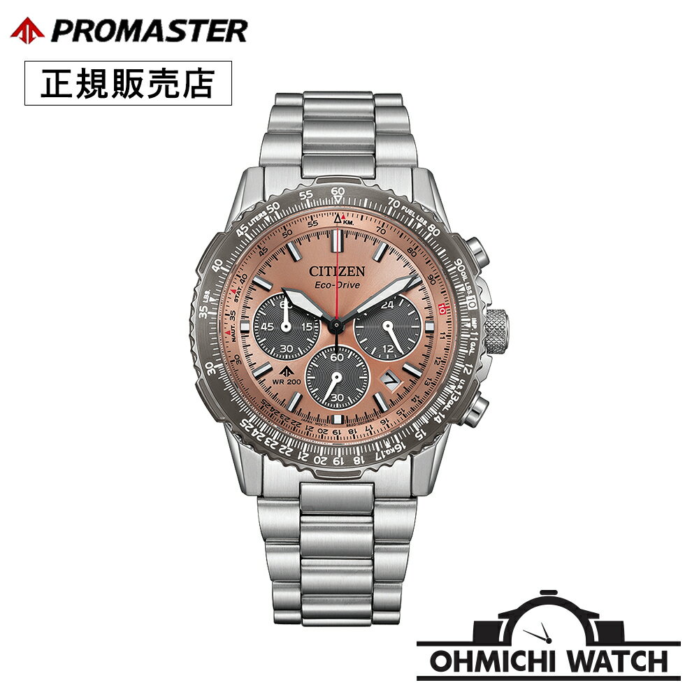 [送料無料] [1～3日で発送] CA4664-60X CITIZEN PROMASTER 【日本正規品】 腕時計 メンズ mens ウォッチ OHMICHI watch 防水 SKY