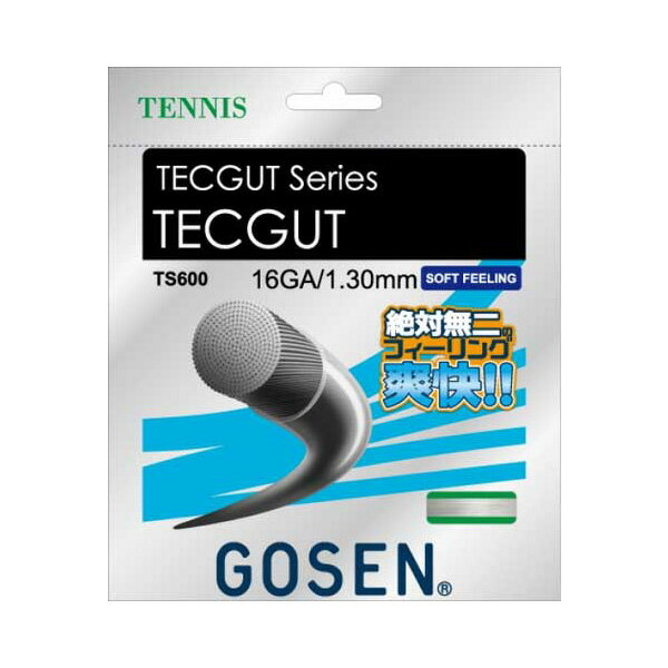ゴーセン GOSEN ts671-aq TECFLEX 17 テニス ガット ストリングス アクア