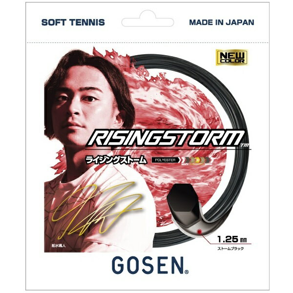 ゴーセン GOSEN RISINGSTORM ストームブ