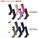 スキーソックス 2足組 カラー選べる 大人用 SKISOCKS エビスニット ノースピーク 厚手 暖かい クッション ソックス MP-618 パイル編み