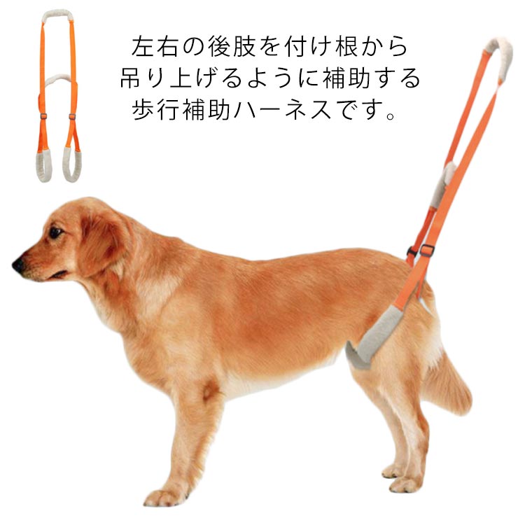 左右の後肢を付け根から吊り上げるように補助する歩行補助ハーネスです。後ろ足の脚力が低下したワンちゃんの起き上がりや歩行を助けてくれます。後肢の弱った愛犬の立ち上がりや、お散歩時の段差越えをサポートします。足を通すだけで手軽に装着できます。サイズは調整可能で小型犬から大型犬までぴったり。付けたまま、おしっこ・排便・排泄・排泄可能です。フリース生地でペットの肌に優しく、スリムで夏でも蒸れにくい。 サイズ 在庫 サイズについての説明 調整サイズ：40-70cm 素材 ナイロン、フリース 色 オレンジ 備考 ●サイズ詳細等の測り方はスタッフ間で統一、徹底はしておりますが、実寸は商品によって若干の誤差(1cm～3cm )がある場合がございますので、予めご了承ください。 ●製造ロットにより、細部形状の違いや、同色でも色味に多少の誤差が生じます。 ●パッケージは改良のため予告なく仕様を変更する場合があります。 ▼商品の色は、撮影時の光や、お客様のモニターの色具合などにより、実際の商品と異なる場合がございます。あらかじめ、ご了承ください。 ▼生地の特性上、やや匂いが強く感じられるものもございます。数日のご使用や陰干しなどで気になる匂いはほとんど感じられなくなります。 ▼同じ商品でも生産時期により形やサイズ、カラーに多少の誤差が生じる場合もございます。 ▼他店舗でも在庫を共有して販売をしている為、受注後欠品となる場合もございます。予め、ご了承お願い申し上げます。 ▼出荷前に全て検品を行っておりますが、万が一商品に不具合があった場合は、お問い合わせフォームまたはメールよりご連絡頂けます様お願い申し上げます。速やかに対応致しますのでご安心ください。