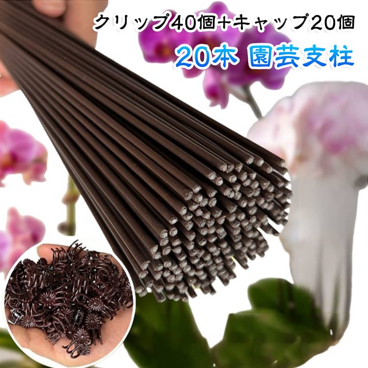 胡蝶蘭をはじめとした鉢植えの花茎を支える園芸用支柱セットです。花が咲いて重くなった茎が折れたり、倒れたりするのを防ぎ、きれいな姿を保ちます。支柱は丈夫な素材で作られており、曲げて形を調整可能。付属の専用クリップで茎を優しく固定でき、植物を傷つけにくい設計です。クリップは取り外しが簡単で、成長に合わせて位置を自由に変えられます。複数の長さからお選びいただけます。家庭の鉢植え、ガーデニング、観葉植物の栽培におすすめです。 サイズ 30cm 40cm 50cm 60cm 70cm 80cm サイズについての説明 支柱20本+クリップ40個+キャップ20個 サイズ：30cm 40cm 50cm 60cm 70cm 80cm。※実寸はメジャー採寸の為、若干の誤差が生じる場合があります。 素材 鉄製 色 写真色 備考 ●サイズ詳細等の測り方はスタッフ間で統一、徹底はしておりますが、実寸は商品によって若干の誤差(1cm～3cm )がある場合がございますので、予めご了承ください。 ●製造ロットにより、細部形状の違いや、同色でも色味に多少の誤差が生じます。 ●パッケージは改良のため予告なく仕様を変更する場合があります。 ▼商品の色は、撮影時の光や、お客様のモニターの色具合などにより、実際の商品と異なる場合がございます。あらかじめ、ご了承ください。 ▼生地の特性上、やや匂いが強く感じられるものもございます。数日のご使用や陰干しなどで気になる匂いはほとんど感じられなくなります。 ▼同じ商品でも生産時期により形やサイズ、カラーに多少の誤差が生じる場合もございます。 ▼他店舗でも在庫を共有して販売をしている為、受注後欠品となる場合もございます。予め、ご了承お願い申し上げます。 ▼出荷前に全て検品を行っておりますが、万が一商品に不具合があった場合は、お問い合わせフォームまたはメールよりご連絡頂けます様お願い申し上げます。速やかに対応致しますのでご安心ください。