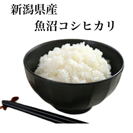 新米コシヒカリ 令和7年産 新潟 魚沼 コシヒカリ お米 5kg 玄米 白米(4.5kg)送料無料魚沼 こしひかり玄米 から精米 選択可能のサムネイル