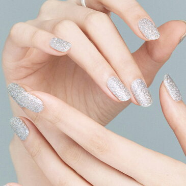 【公式】N True Silver：nb-051/ ohora gelnails nail オホーラ ネイル ジェルネイル ネイルシール セルフネイル ネイルステッカー おうちネイル ネイルデザイン ジェルネイルシール ネイルステッカー ネイルオイル ネイルパーツ ネイルチップ カラージェル