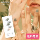 【公式】N Linen：ND-060 ohora gelnails nail