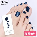 【公式】P Starry night:PB-016 ohora gelnails nail オホーラ ネイル ジェルネイル ネイルシール セルフネイル ネイルステッカー おうちネイル ネイルデザイン ジェルネイルシール ネイルステッカー フット ネイルパーツ ネイルチップ カラージェル