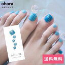 【公式】P Aqua Prism:PD-030-J/ ohora gelnails nail オホーラ ネイル ジェルネイル ネイルシール セルフネイル ネイルステッカー おうちネイル ネイルデザイン ジェルネイルシール ネイルステッカー ネイルオイル ネイルパーツ ネイルチップ カラージェル