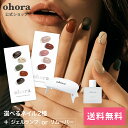 【楽天限定】【公式】マンスリーベスト：SET-008 ohora gelnails nail オホーラ ネイル ジェルネイル ネイルシール セルフネイル ネイルステッカー ネイルデザイン ジェルネイルシール ネイルステッカー ネイルオイル ネイルパーツ ネイルチップ カラージェル