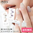 【楽天限定】【公式】マンスリーベスト：SET-008 ohora gelnails nail オホー ...