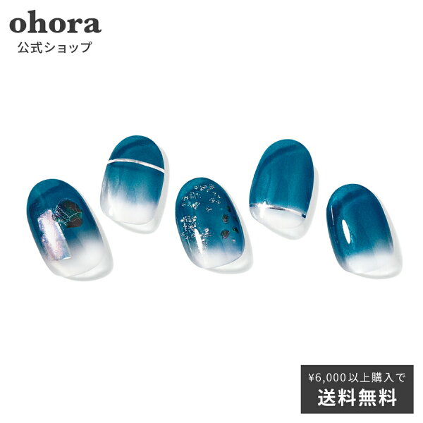 公式 NCoolleisureno.1:nss-006/ohoragelnailsnailオホーラネイルジェルネイルネイルシー