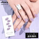 【公式】N Blueberry Jam：NB-031 ohora gelna