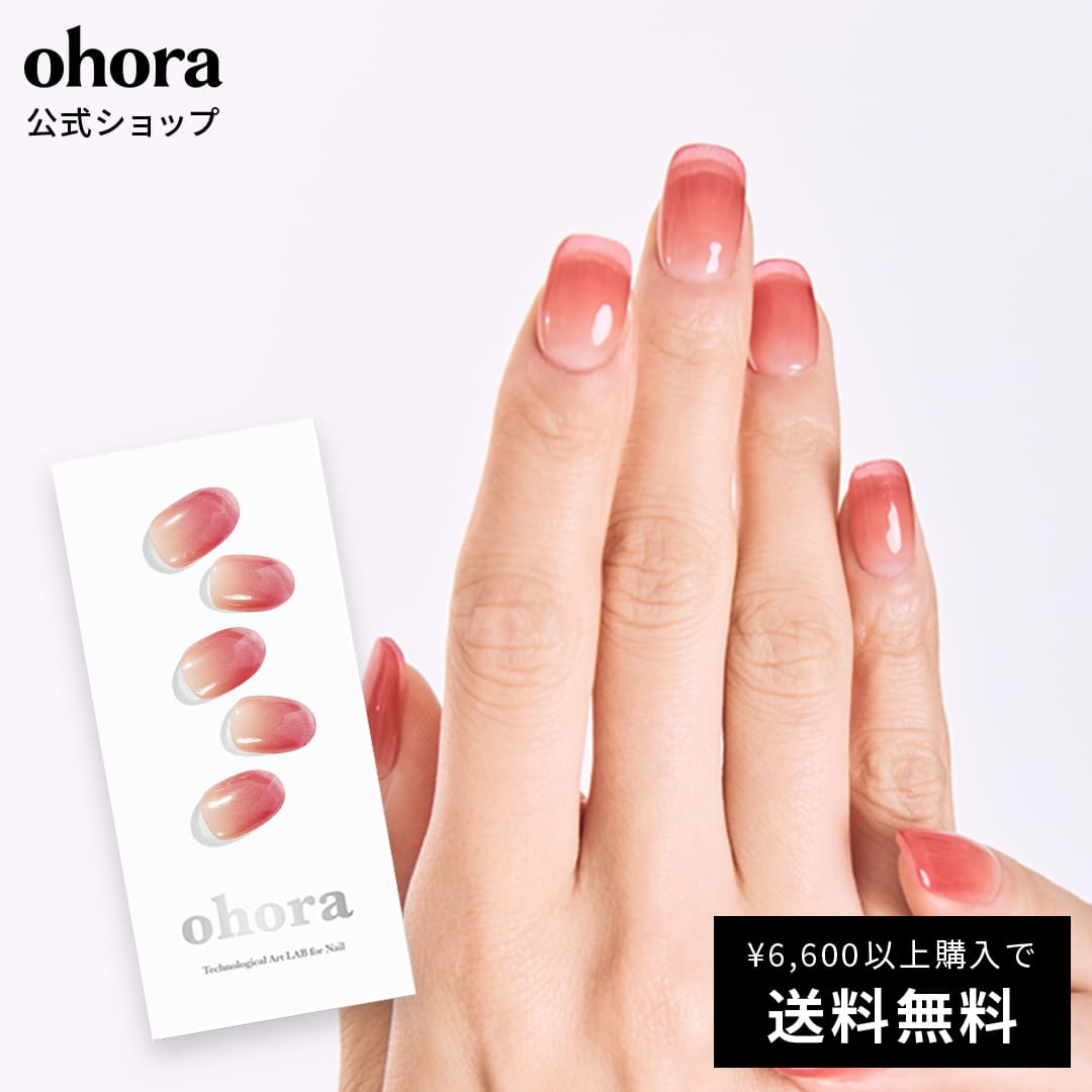 【公式】N Basic Nails no.1：NBS-001 ohora g