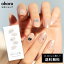 ֡ڸN SliverND-437/ ohora gelnails nail ۡ ͥ ͥ ͥ륷 եͥ ͥ륹ƥå ͥ ͥǥ ͥ륷 ͥ륹ƥå ͥ륪 ͥѡ ͥå 顼פ򸫤