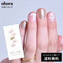 【公式】N Christmas Surprise:NP-007-G/ ohora gelnails nail オホーラ ネイル ジェルネイル ネイルシール セル...