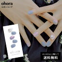 ネイルオイル（2000円程度） 【公式】N Daymoon：NP-130 ohora gelnails nail オホーラ ネイル ジェルネイル ネイルシール セルフネイル ネイルステッカー おうちネイル ネイルデザイン ジェルネイルシール ネイルステッカー ネイルオイル ネイルパーツ ネイルチップ カラージェル