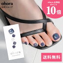 【公式】P Suiheisen:pd-017-j/ ohora gelnails nail オホーラ ネイル ジェルネイル ネイルシール セルフネイル ネイルステッカー おうちネイル ネイルデザイン ジェルネイルシール ネイルステッカー ネイルオイル ネイルパーツ ネイルチップ カラージェル