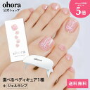 【公式】ohoraペディキュアスターターセット:SET-015 ohora gelnails nail オホーラ ネイル ジェルネイル ネイルシール セルフネイ...