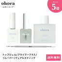 【コージー本舗】ネイリスト シャイニングネイルラブ （爪磨きセット） ※お取り寄せ商品【RCP】