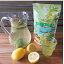 水出しレモン香る煎茶ティーバック　3g20パック入り　3袋　 fruits 　green　tea　lemon　レモン　レモンマートル