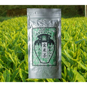 お茶 緑茶 日本茶 ポイント消化 抹茶入り玄米茶100g1本　抹茶　カテキン　玄米　送料無料