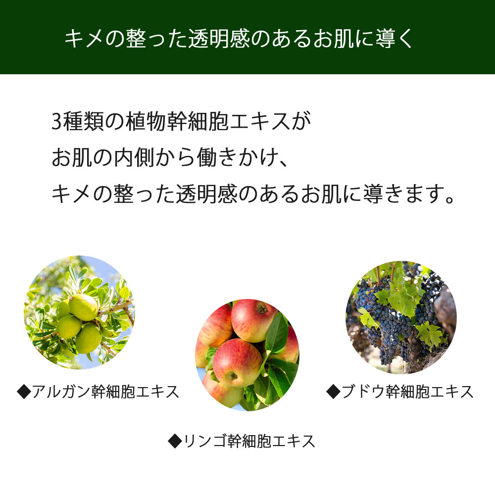 トラベルパックNewEGF幹細胞美容液DUVOTA(ドゥボータ)リバイタルセラム1mLtimes;9包|プロテオグリカン成長因子ペプチドグロースファクターエレクトロポレーション美顔器ジェル導入コスメフォトフェイシャル