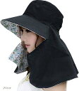 【楽天ランキング1位入賞】ラ・クエスト 日よけ帽子 レディース ハット リバーシブル 農作業 サンバイザー ウォーキング スポーツ観戦 ブラック (ブラック, ...