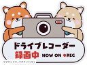 ドライブレコーダー ステッカー 録画中 カーステッカー(ホワイト)